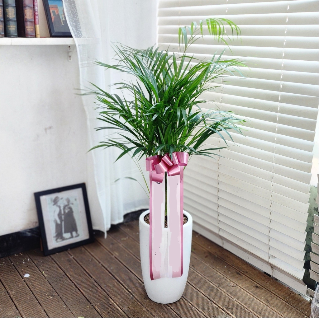 ���� ��ȭ�Ĺ� �Ʒ�ī����