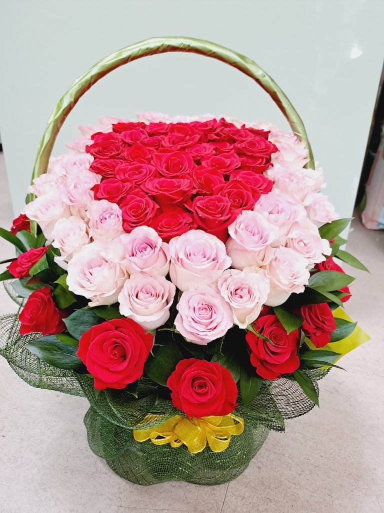 ²É¹Ù±¸´Ï&²É´Ù¹ß ²ÉÁý ²É¹è´Þ