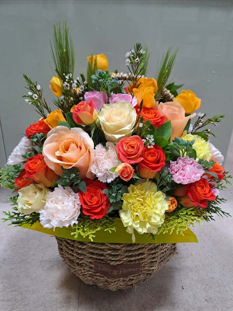 ²É¹Ù±¸´Ï&²É´Ù¹ß ²ÉÁý ²É¹è´Þ