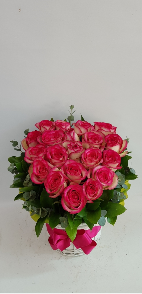 ²É¹Ù±¸´Ï&²É´Ù¹ß ²ÉÁý ²É¹è´Þ