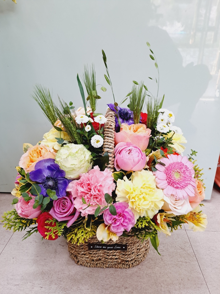 ²É¹Ù±¸´Ï&²É´Ù¹ß ²ÉÁý ²É¹è´Þ