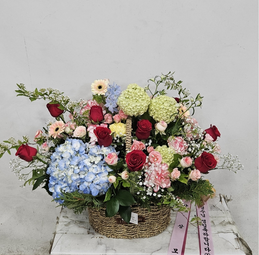 ²É¹Ù±¸´Ï ²ÉÁý ²É¹è´Þ