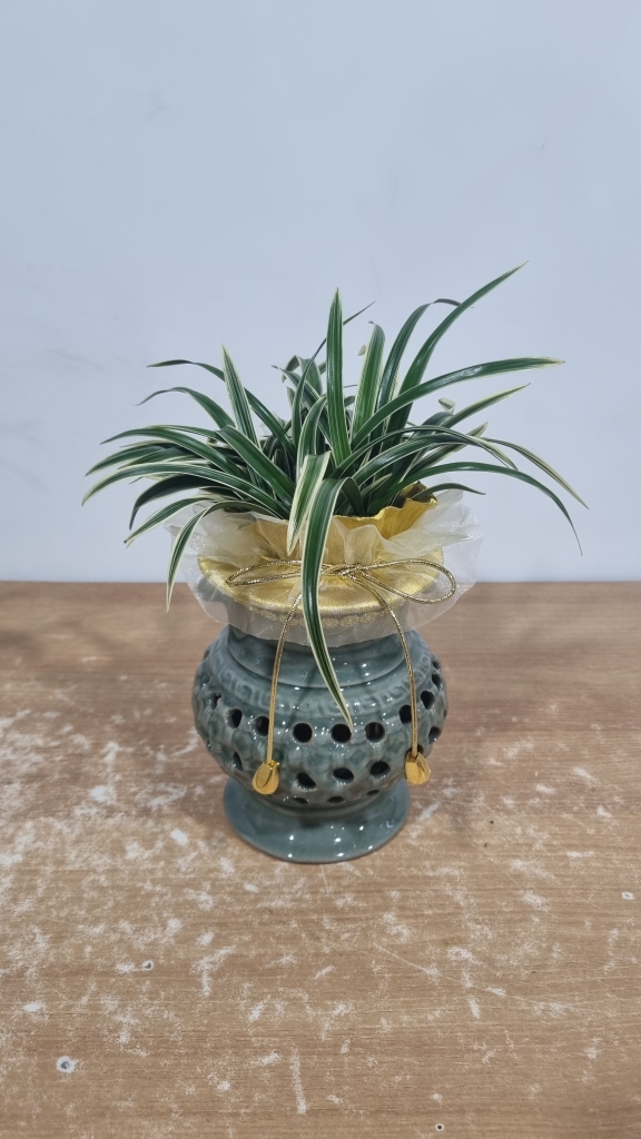 ���� ����� (��ǰ��������) ���� �ɹ��