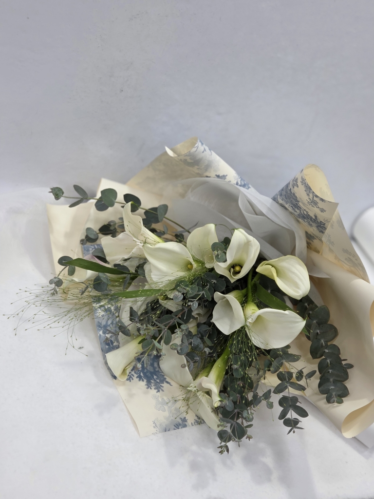 �ɴٹ� ���� �ɹ��